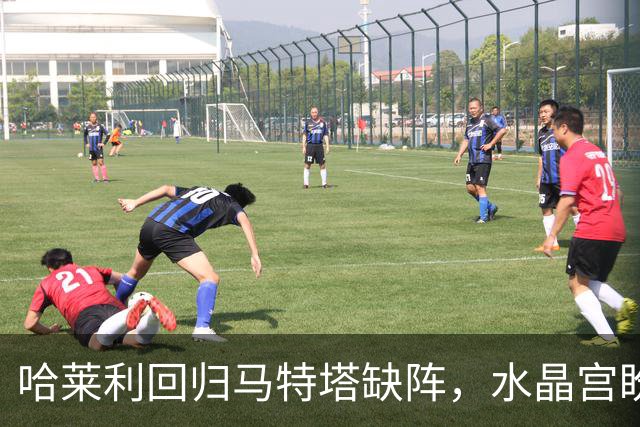 哈莱利回归马特塔缺阵，水晶宫盼反超森林再战里昂